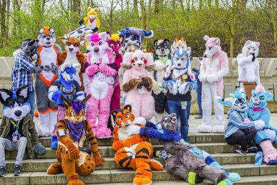 Republicans Claim Furries Are Using Litter Boxes in Schools - www.metroweekly.com - USA - Colorado - county Jefferson
