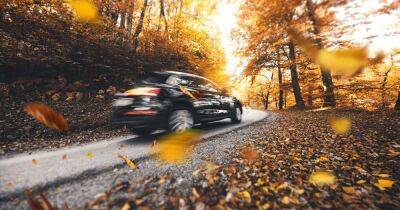 Warning as autumn leaves could damage your car - how to prepare vehicle for colder seasons - www.dailyrecord.co.uk - Scotland