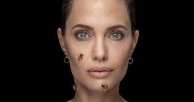 Angelina Jolie bee picture among Siena International Photo Award winners - www.msn.com - Brazil - Italy - Denmark - Tokyo - Greece