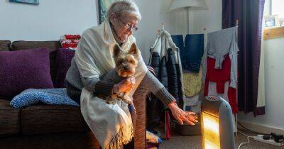 Scots OAP too scared to turn on gas heating curls up with dog to stay warm - www.dailyrecord.co.uk - Britain - Scotland