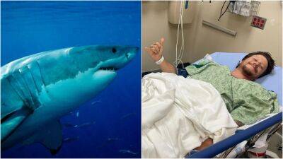 California man attacked by great white shark recounts terrifying moment: 'My worst fear' - www.foxnews.com - California - county Santa Cruz
