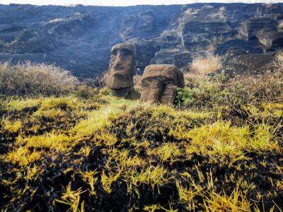 Iconic Easter Island 'Moai' statues severely damaged in wildfire: 'It's irrecoverable' - www.foxnews.com - Chile - Indiana