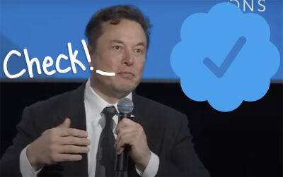 Elon Musk's Twitter Wants Users To Pay $20 A Month For Verification! Would You Do That?? - perezhilton.com