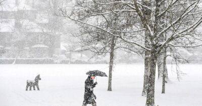 Met Office issues verdict over reports first snow of winter to hit Scotland - www.dailyrecord.co.uk - Britain - Scotland
