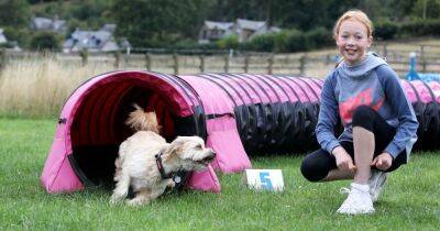 Scots schoolgirl to compete at Crufts with granny's rescue dog - www.dailyrecord.co.uk - Spain - Scotland