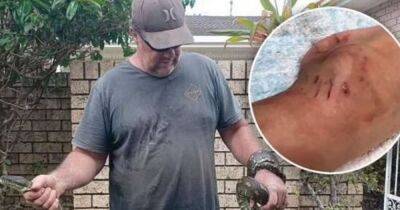 Boy, 5, bitten and dragged into pool by monster 10ft python rescued by hero dad - www.dailyrecord.co.uk - Australia