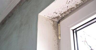 Savvy dad's 'game-changing' hack tackles damp and mould caused by condensation - www.dailyrecord.co.uk - Britain