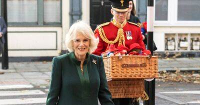 Queen Consort Camilla Trades Traditional Ladies-In-Waiting for Queen’s Companions - www.usmagazine.com - city Windsor