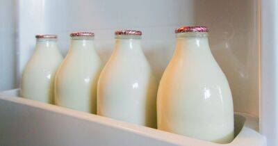 The reason you should never leave milk in the fridge door - www.dailyrecord.co.uk - Britain - Scotland - Beyond