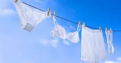 Cleaning expert shares how often we should wash our pants - and it's not every day - www.dailyrecord.co.uk
