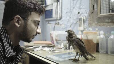 ‘All That Breathes,’ Stirring Film On Humans And Birds, Snares Best Feature at 38th IDA Documentary Awards - deadline.com - Hollywood - India - city Delhi, India