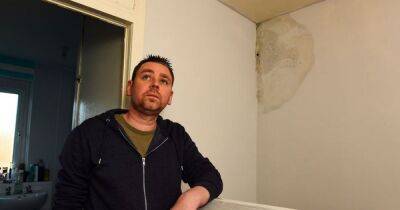 Scots council tenant fears for family's health with mouldy walls in house - www.dailyrecord.co.uk - Scotland