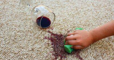 Cleaning expert shares common £1.50 household item that gets rid of alcohol carpet stains - www.dailyrecord.co.uk