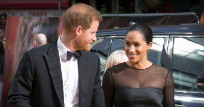 Prince Harry Recalls Seeing Meghan Markle for the 1st Time With the Dog Filter On: Read Their Initial Texts - www.usmagazine.com
