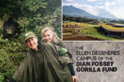 Ellen DeGeneres’ long-awaited, dream gorilla campus opens in Rwanda - nypost.com - USA - Rwanda
