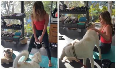 Watch Jennifer Aniston’s dogs adorably interrupt her workout - us.hola.com - Hawaii - city Sandler