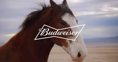 Budweiser's Super Bowl 2022 Commercial Brings Back Clydesdale Horse & Dog, Directed by Chloe Zhao! - www.justjared.com
