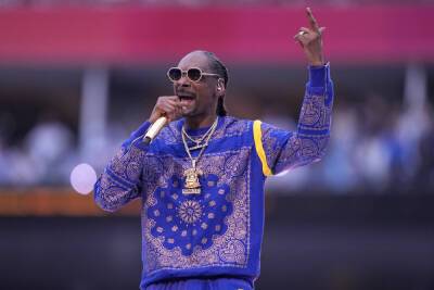 Snoop Dogg Honoured His Late Mom During Super Bowl Halftime - etcanada.com - county Tate