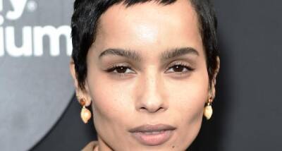 The Batman star Zoe Kravitz opens up about why she deleted all her Instagram posts after the 2021 Met Gala - www.pinkvilla.com