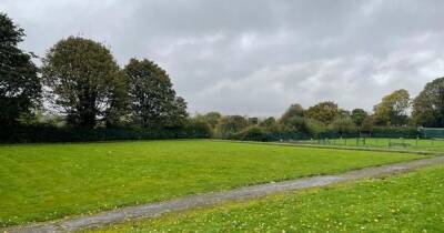 Hopes rise that Haslam Park could be SAVED from being ripped up for new school - www.manchestereveningnews.co.uk