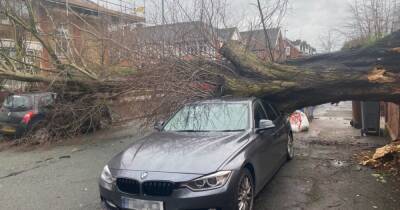 Trees fall on cars and block roads and train lines as Storm Eunice batters Greater Manchester - www.manchestereveningnews.co.uk - Britain - Manchester - county Lane - county Bailey