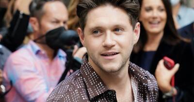 Niall Horan pulls out of TV appearance after falling 'extremely ill' on flight - www.ok.co.uk - Britain - Los Angeles - Ireland