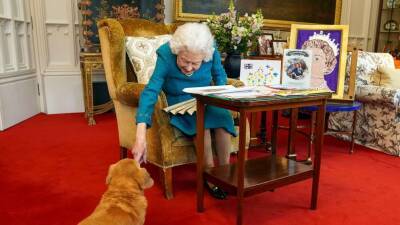 Queen's canine gate-crashes as she views mementoes of reign - abcnews.go.com - Indiana - county Carter
