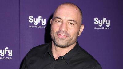 Joe Rogan Apologizes For Using N-Word After India Arie Called Him Out Posted Videos - hollywoodlife.com - India - city Sanford