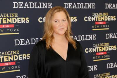Amy Schumer Shares Candid Post About Motherhood While Sharing Rare Photo With Son Gene, 2 - etcanada.com - France - county Gibson