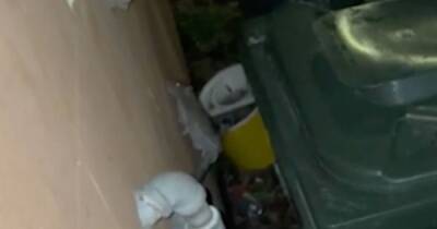 Scots flats completely overrun by ‘pipe-climbing rats’ that block bins, says horrified carer - www.dailyrecord.co.uk - Scotland - city Edinburgh