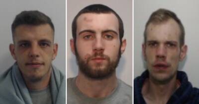 Violent trio jailed for terrifying brawl involving saw and table leg on 'busy street' - www.manchestereveningnews.co.uk - county Andrew - county Williamson
