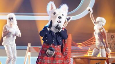 'The Masked Singer': McTerrier Accidentally Unmasks Himself in Season 7 Premiere - www.etonline.com - Scotland