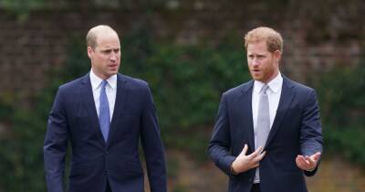 Prince William makes rare comment on brother Harry during Belize tour - www.ok.co.uk - Britain - Belize - county Hopkins