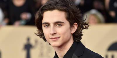 Timothee Chalamet to Reunite With 'Call Me By Your Name' Director in 'Bones & All' - Find Out Who's in the Cast! - www.justjared.com
