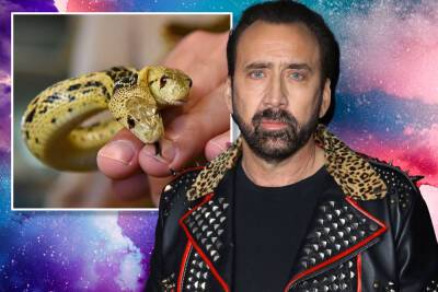 Inside Nicolas Cage’s wild animal menagerie—including a two-headed snake - nypost.com - Los Angeles - Las Vegas - New Orleans - state Maine