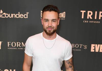 Liam Payne Opens Up About 5-Year-Old Son Bear: ‘He Looks At Me Like A Superhero’ - etcanada.com - Britain - Beverly Hills