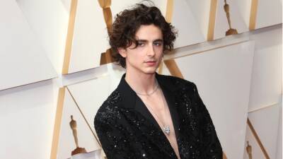Timothée Chalamet Brings the Thirst With Shirtless Look on Oscars Red Carpet - thewrap.com