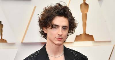 Timothee Chalamet Goes Shirtless on the Oscars Red Carpet - www.usmagazine.com - France - Los Angeles