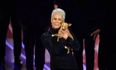 John Travolta adopted the puppy Jamie Lee Curtis presented at the Oscars - us.hola.com