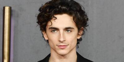 Timothee Chalamet Reveals He Took His 'First Date Ever' to See the 'Hunger Games' - www.justjared.com