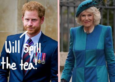 Prince Harry’s Upcoming Memoir Will Take ‘Revenge’ On Camilla Parker Bowles?! - perezhilton.com - Britain