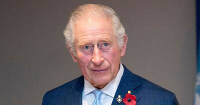 Inside Prince Charles’ Plans to ‘Slim Down’ the Royal Family After He Becomes King - www.usmagazine.com
