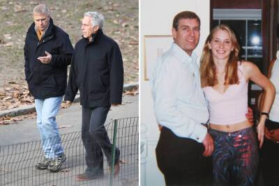 Jeffrey Epstein repeatedly described Prince Andrew as ‘an idiot,’ bombshell book claims - nypost.com - New York - Virginia