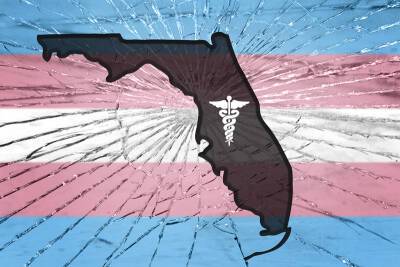 Republican Wants to Ban Health Care for Trans Youth - www.metroweekly.com - USA - Florida - state West Virginia - state Idaho