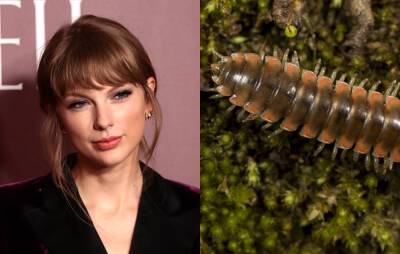 Scientists name new species of millipede after Taylor Swift - www.nme.com - USA - county Swift - Virginia - Tennessee