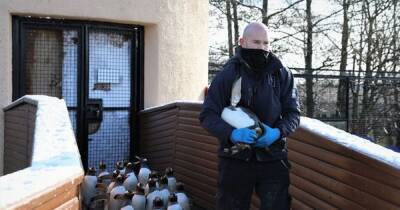 Edinburgh's 100-strong penguin crew 'doing well' after yearly health check-up - www.dailyrecord.co.uk - Scotland - Antarctica