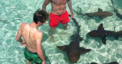 David Beckham and son Cruz swim with sharks on Bahamas holiday - www.msn.com - USA - Miami - Sweden - Florida - Bahamas - Indiana - county Palm Beach