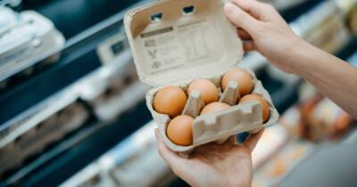 Egg shortage warning in supermarkets as experts say there's a 'mass exodus' of farmers - www.dailyrecord.co.uk - Britain