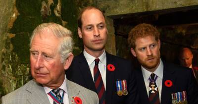 Harry dodges question about missing Charles and William: 'My focus is on my own family' - www.ok.co.uk - Britain - USA - California - Netherlands - county Charles - Santa Barbara