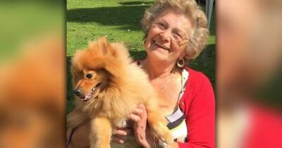 Tributes paid to much-loved dinner lady who was always out and about with her beloved Pom - www.manchestereveningnews.co.uk - Australia - Scotland - Italy - Manchester - county Thomas - county Dixon